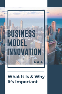 Business Model Innovation