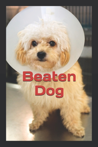 Beaten Dog