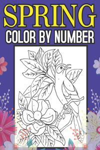 Spring Color By Number