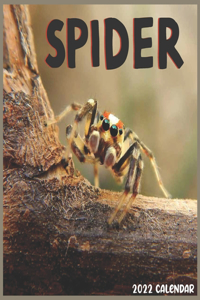 Spider 2022 Calendar