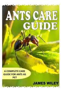 Ants Care Guide