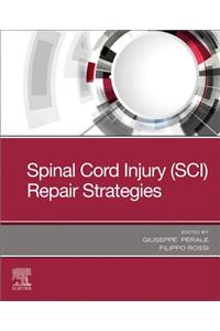 Spinal Cord Injury (Sci) Repair Strategies