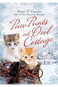 Paw Prints at Owl Cottage