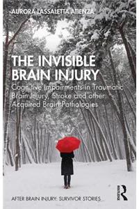 The Invisible Brain Injury