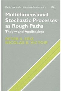 Multidimensional Stochastic Processes as Rough Paths