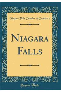Niagara Falls (Classic Reprint)