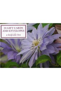 Tin Box of 20 Gift Cards and Envelopes: Clematis