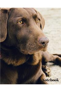 Dog Notebook