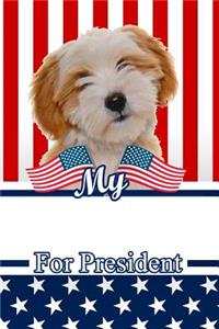 My Tibetan Terrier for President