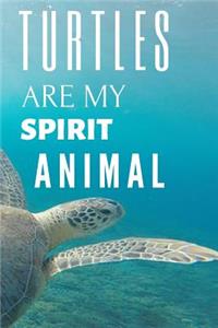 Turtle Notebook