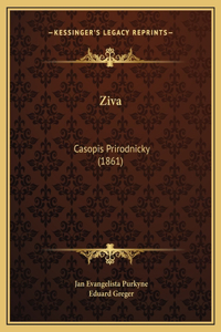 Ziva