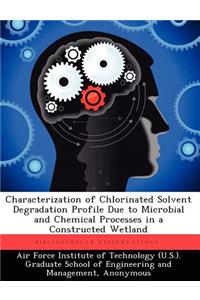 Characterization of Chlorinated Solvent Degradation Profile Due to Microbial and Chemical Processes in a Constructed Wetland