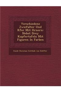 Verschiedene Zwiefalter Und K Fer Mit H Rnern