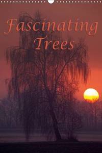 Fascinating Trees 2017