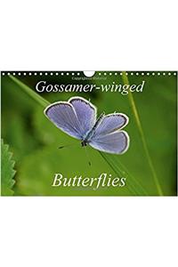 Gossamer-Winged Butterflies 2017
