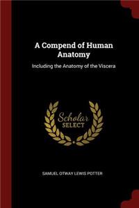 A Compend of Human Anatomy: Including the Anatomy of the Viscera