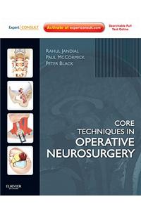 Core Techniques in Operative Neurosurgery