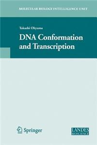 DNA Conformation and Transcription