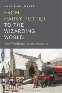 From Harry Potter to the Wizarding World