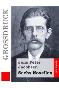 Sechs Novellen (Großdruck)