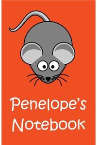 Penelope's Notebook