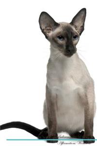 Balinese Cat Affirmations Workbook Balinese Cat Presents