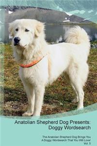 Anatolian Shepherd Dog Presents