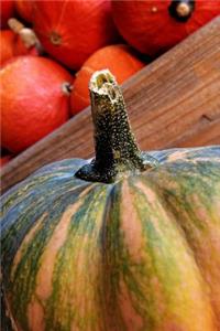 Gourd Harvest Time Journal