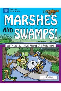 Marshes and Swamps!