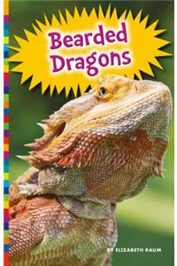Bearded Dragons