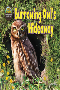 Burrowing Owl's Hideaway