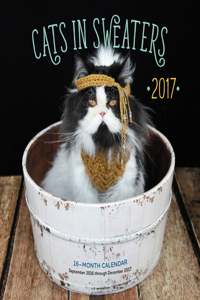 Cats in Sweaters 2017