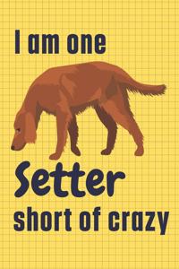 I am one Setter short of crazy