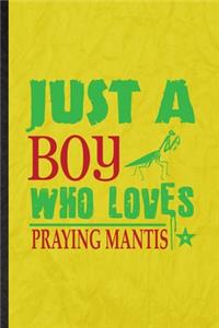 Just a Boy Who Loves Praying Mantis