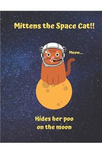 Mittens the Space Cat, Hides her poo on the moon