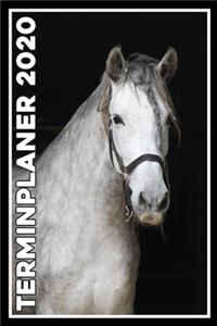 Terminplaner 2020