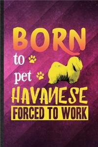 Born to Pet Havanese Forced to Work