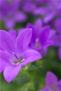 Spring Flowers Notebook
