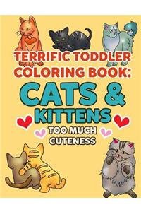 Coloring Books for Toddlers