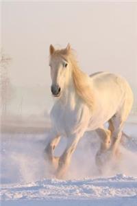 Beautiful White Horse Running in the Snow Journal
