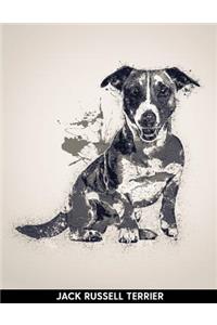 Jack Russell Terrier