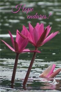 Hope Endures Journal