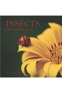 Insects Calendar 2019