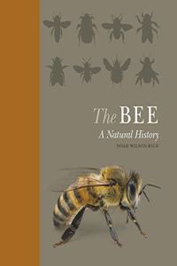 The Bee