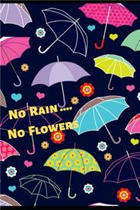 No Rain. No Flowers