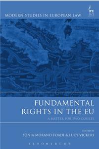 Fundamental Rights in the EU