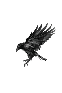 Murder of Crows
