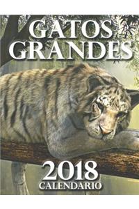 Gatos Grandes 2018 Calendario (EdiciÃ³n EspaÃ±a)