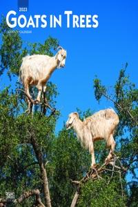 Goats in Trees 2023 Square