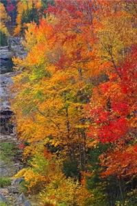 Fall Journal Mountain Waterfall Autumn Foliage